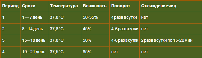 Режимы инкубации куриных яиц в домашних условиях