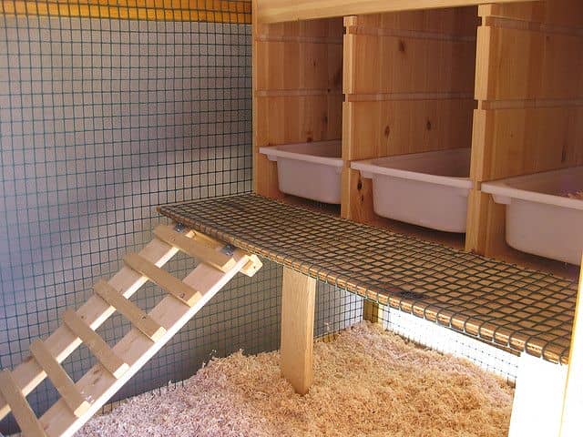 Как сделать курятник внутри своими руками