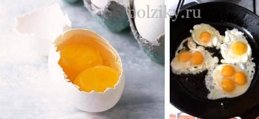 a2b046454d19af411a4a34ef2f07f5a2 Чому яйця з двома жовтками   яка прикмета