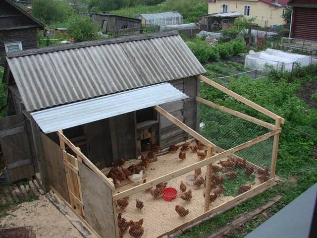 Курятник на даче своими руками фото чертежи Курятник на даче своими руками фото чертежи