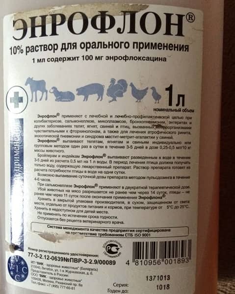 энрофлон инструкция по применению для голубей энрофлон инструкция по применению для голубей