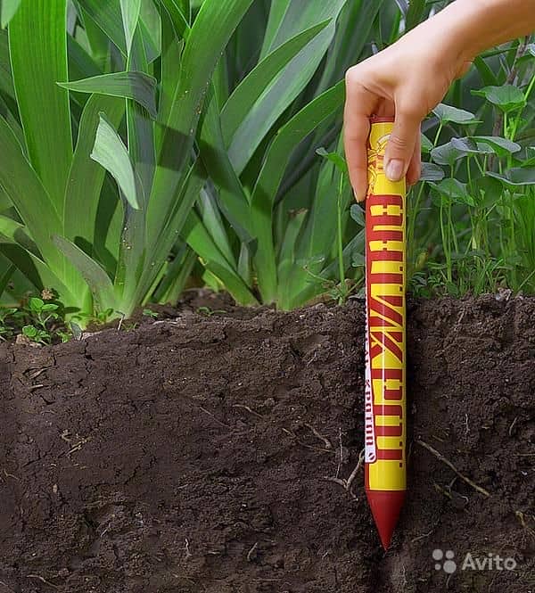 Борьба с кротами на садовом участке Борьба с кротами на садовом участке