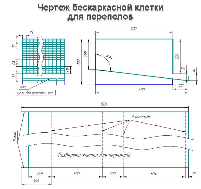 Клетка для перепелов своими руками чертежи размеры Клетка для перепелов своими руками чертежи размеры