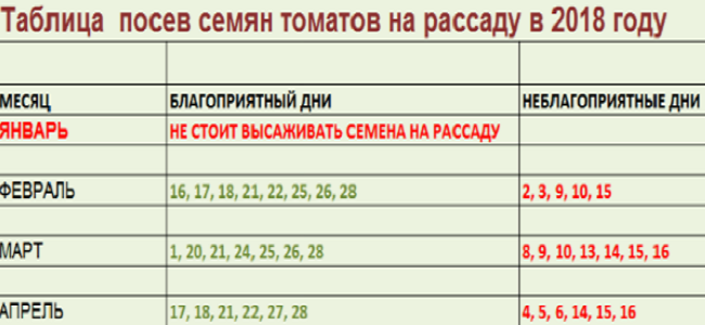 Когда сажать дайкон в открытый грунт в 2018 году по лунному календарю 4