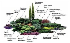 Облаштування альпійської гірки своїми руками: види дизайну і правила споруди, покрокове керівництво і фото c34e1914b3dca62fadf5401e15721d78 Облаштування альпійської гірки своїми руками: види дизайну і правила споруди, покрокове керівництво і фото