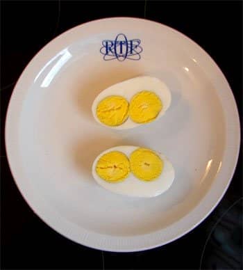 bd455c40976b6d81c4066f1a57364003 Чому яйця з двома жовтками   яка прикмета