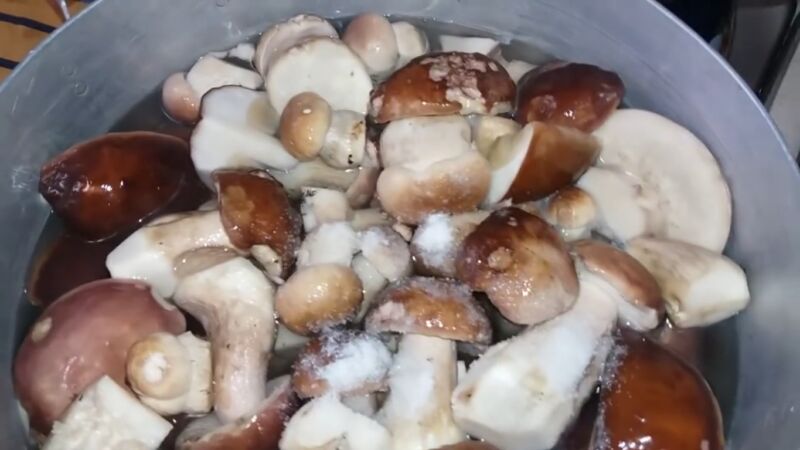 belye griby marinovannye v bankah na zimu kak prigotovit vkusno i bystro 62ae331 Білі гриби мариновані в банках на зиму: Як приготувати смачно і швидко?