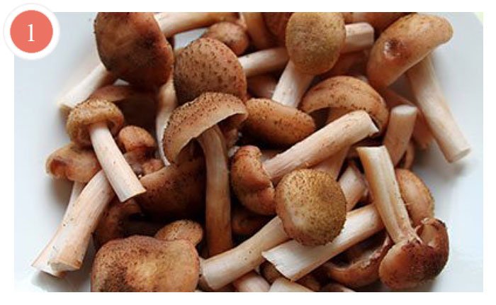rizotto s gribami 7 domashnih receptov 3040365 Різотто з грибами   7 домашніх рецептів
