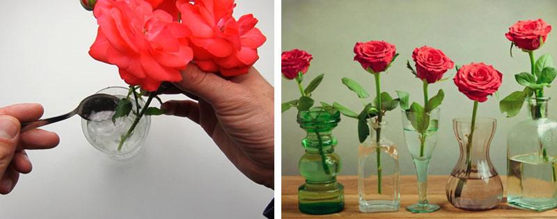 hranenie roz v vaze dolgoe vremja 60b42fd Зберігання троянд у вазі довгий час