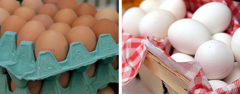 kak pravilno i skolko mozhno hranit kurinye jajca 80d3c22 Як правильно і скільки можна зберігати курячі яйця