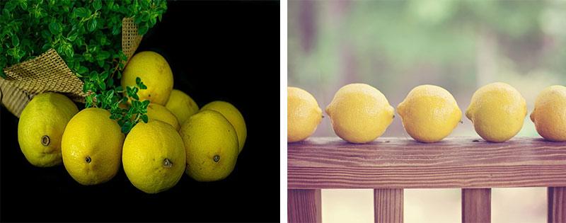 kak pravilno zamorazhivat limony v domashnih uslovijah 4cc323b Як правильно заморожувати лимони в домашніх умовах
