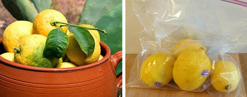 kak sohranit limony nadolgo v domashnih uslovijah 2781866 Як зберегти лимони надовго в домашніх умовах