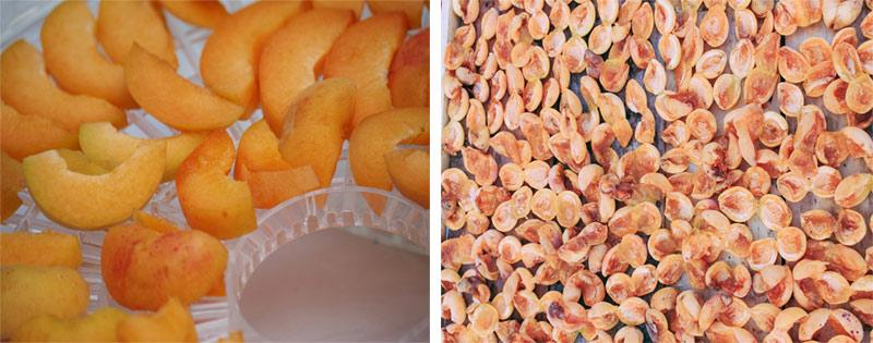 kak vysushit abrikosy v domashnih uslovijah 2d5026e Як висушити абрикоси в домашніх умовах