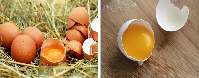 mozhno li zamorozit varenye jajca v morozilke 789dfed Чи можна заморозити варені яйця в морозилці