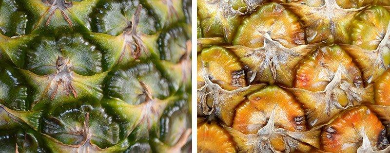 skolko i kak pravilno hranit ananas e67f6c7 Скільки і як правильно зберігати ананас
