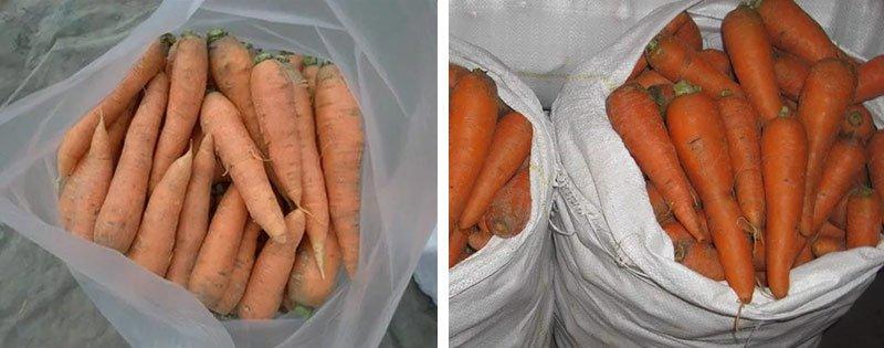 sohranenie morkovi v domashnih uslovijah 0caf54b Збереження моркви в домашніх умовах