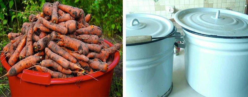 sohranenie morkovi v domashnih uslovijah a57472b Збереження моркви в домашніх умовах