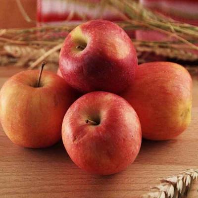 ea4f5f47fcd78cf88ef7653057a0e187 Моніліоз яблуні ( 16 фото ): лікування плодової гнилі влітку і навесні, опис моніліального опіку на яблуках і огляд засобів від хвороби